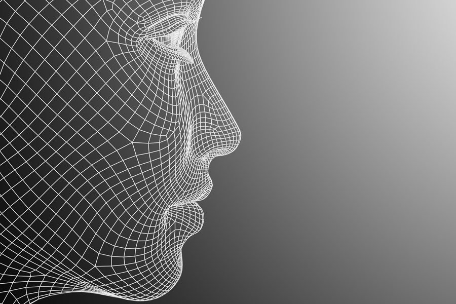 3D model of a face.